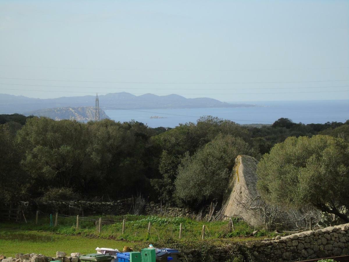 Casa Eleonora Villa Santa Teresa Gallura Dış mekan fotoğraf