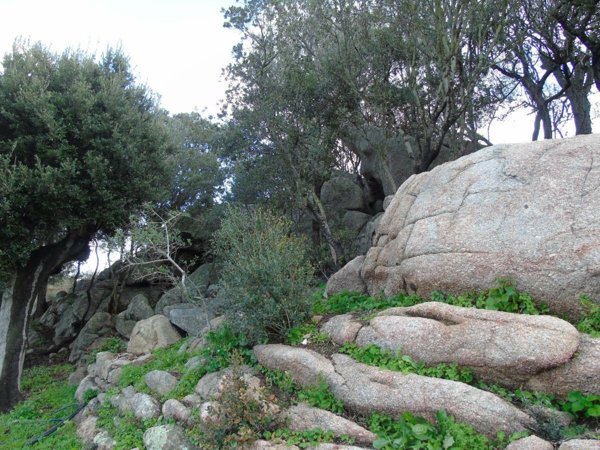 Casa Eleonora Villa Santa Teresa Gallura Dış mekan fotoğraf