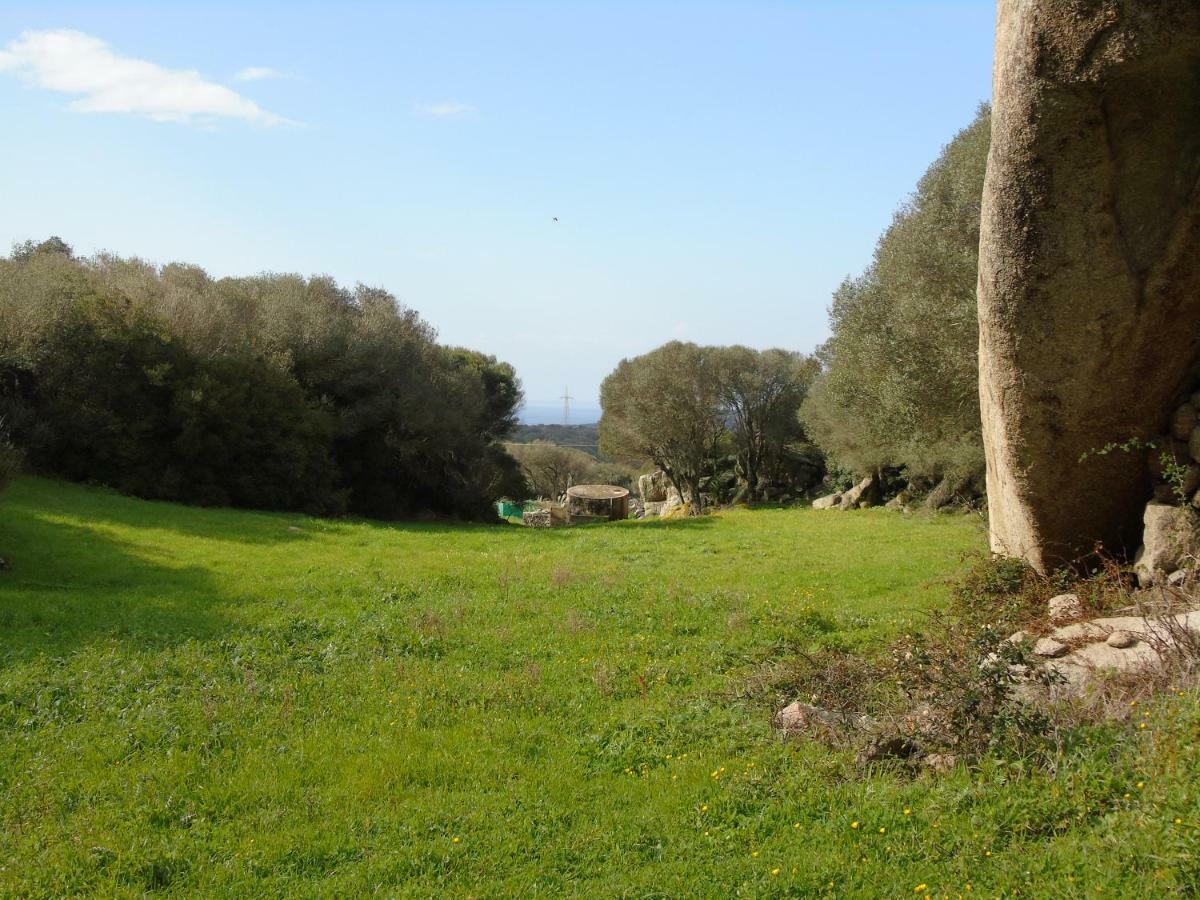 Casa Eleonora Villa Santa Teresa Gallura Dış mekan fotoğraf