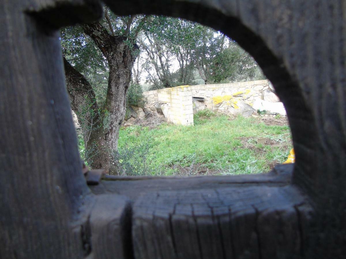 Casa Eleonora Villa Santa Teresa Gallura Dış mekan fotoğraf