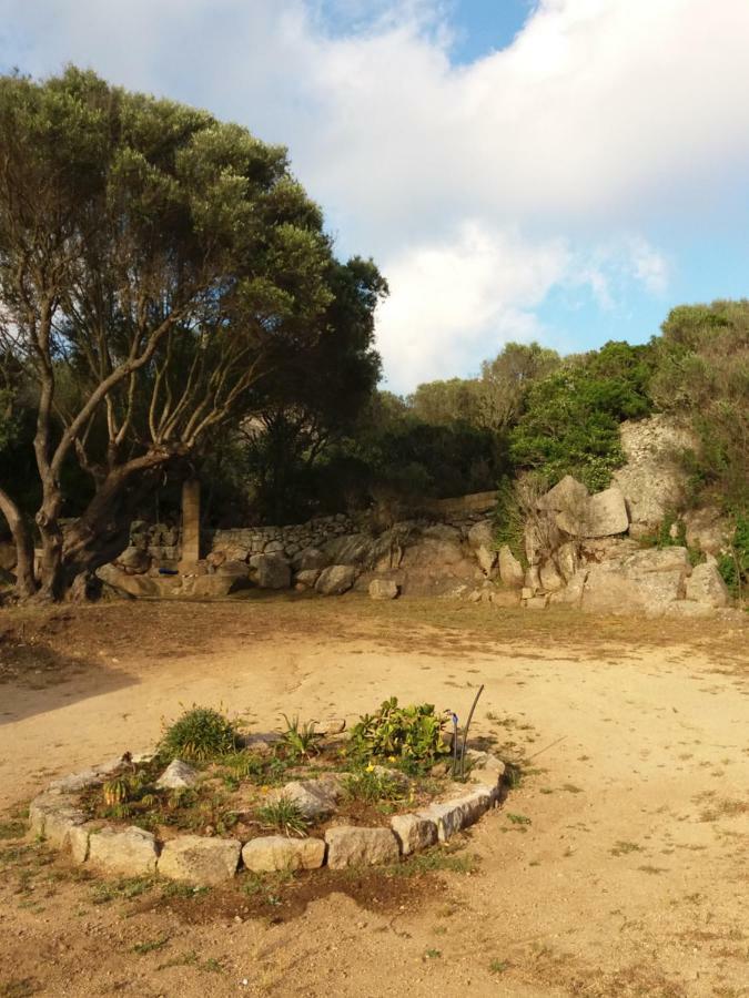 Casa Eleonora Villa Santa Teresa Gallura Dış mekan fotoğraf