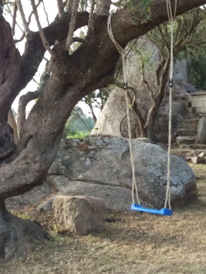 Casa Eleonora Villa Santa Teresa Gallura Dış mekan fotoğraf